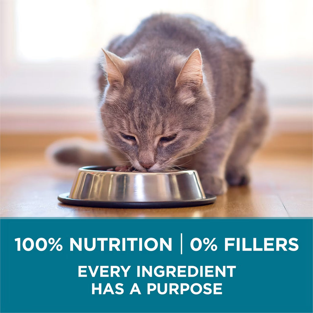 Purina ONE Natural Cat Food - Tender Selects With Salmon